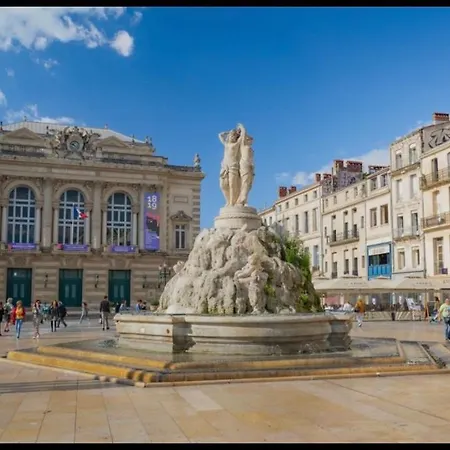 Cocon Cosy, Montpellier & Pic Saint-loup * Prades-le-Lez